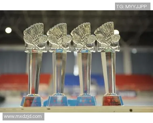 南京羽毛球队边路渗透革新探索与实践的深度分析与展望