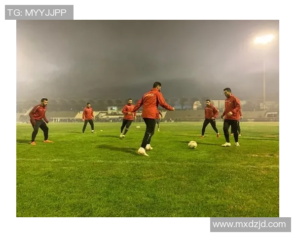 深圳足球队战术揭秘:从战术布局到球员配合的全景分析 深圳足球队战术揭秘:从战术布局到球员配合的全景分析