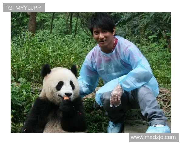 足球明星亲临熊猫基地与可爱熊猫互动传递环保理念 足球明星亲临熊猫基地与可爱熊猫互动传递环保理念