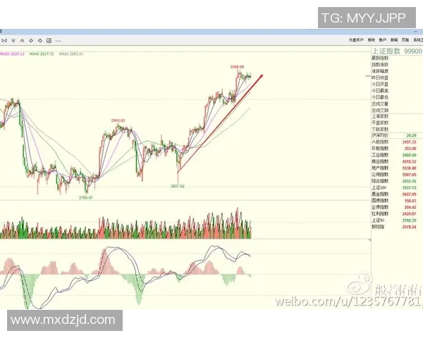 南京网球队防守策略深度解析与战术应用探讨 南京网球队防守策略深度解析与战术应用探讨
