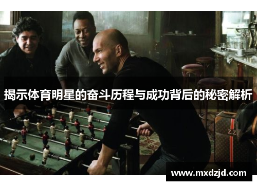 揭示体育明星的奋斗历程与成功背后的秘密解析