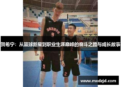 贺希宁：从篮球新星到职业生涯巅峰的奋斗之路与成长故事