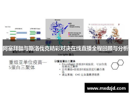 阿塞拜疆与斯洛伐克精彩对决在线直播全程回顾与分析