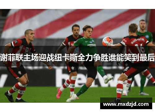 谢菲联主场迎战纽卡斯全力争胜谁能笑到最后