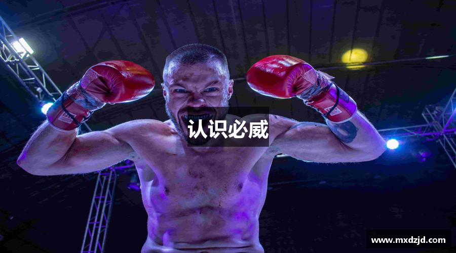 认识必威